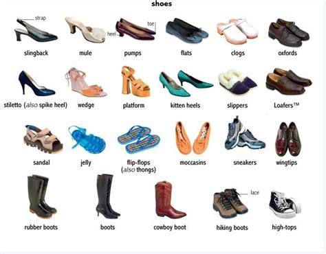 footwear synonym